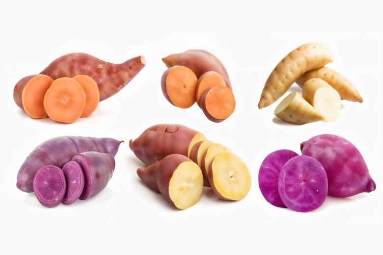 Fresh Rainbow Sweet Potato