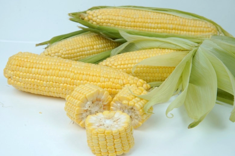 Fresh Sweet Corn
