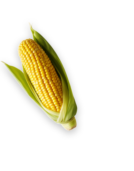 Fresh Foods