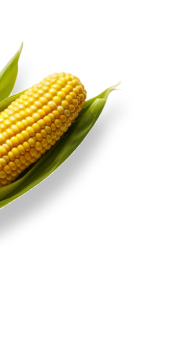 Fresh Foods