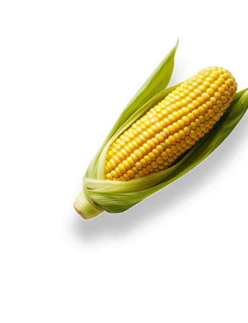 Fresh Foods